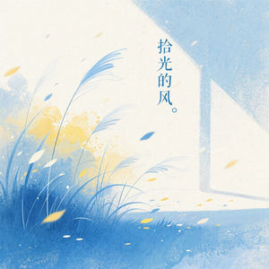 拾光的风