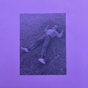 Turkey Vulture (Live)