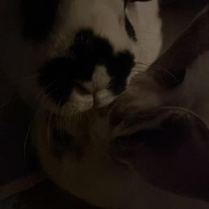 i cant be alone for this long