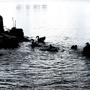 轻涟（La vaguelette，钢琴版，Cover HOYO-MiX）