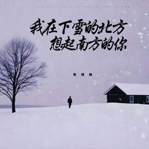 我在下雪的北方想起南方的你