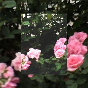 I Wish We Were Better