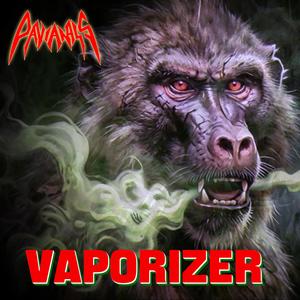 Vaporizer