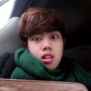 伴你伴你岁岁年年