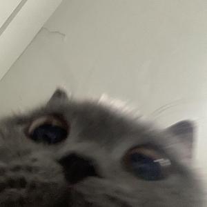 骗自己PT.2
