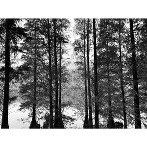 “kpasian-end of the world”（swaggypink remix）