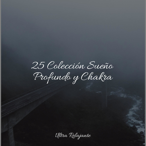 Canción De Armonía