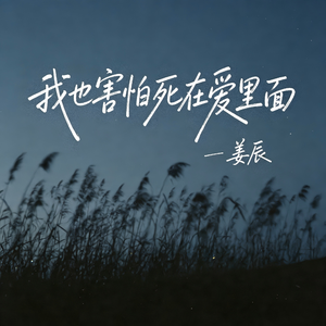 我也害怕死在爱里面