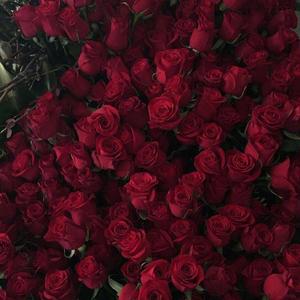 李佳隆-BERRY