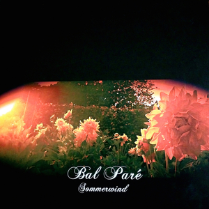 Theme From TV Noir (Soundtrack)