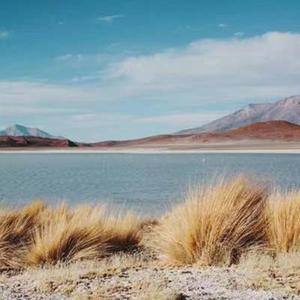 希望你再多看我一眼