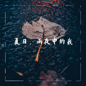 夏日，雨夜中的我