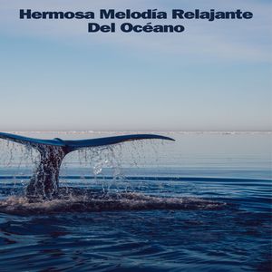 Es Energizante Y Calmante