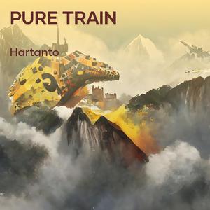 Pure Train