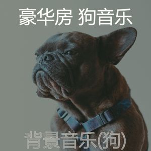 睡觉的小狗(爱心)