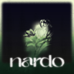 nardo