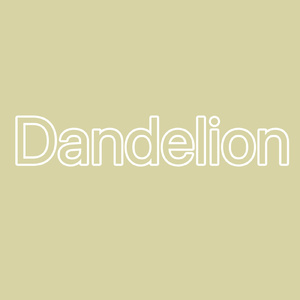 Dandelion