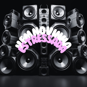 Vem Novinha Estressada