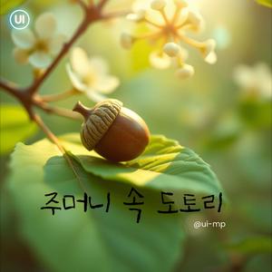 주머니 속 도토리