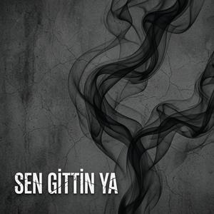 Sen Gittin Ya