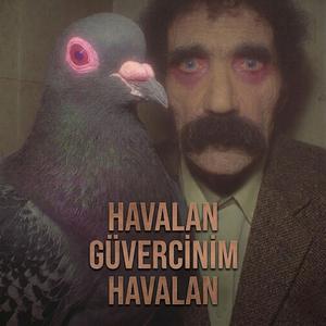 Havalan Güvercinim Havalan