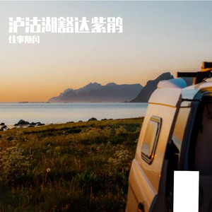迁徙旋律中的自然奇遇