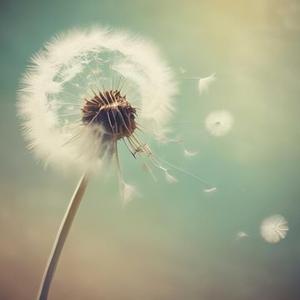 不再纠结爱与不爱理由