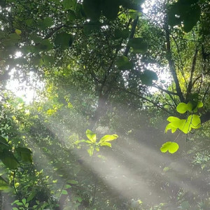 一路生花 温奕心