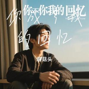 你成了我的回忆