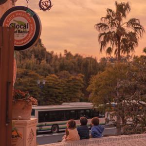 你就不要想起我1644807115804_110443_track0_110443