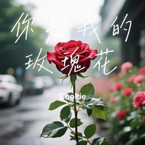 你是我的玫瑰花 (Cover 庞龙)