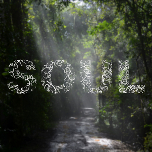 Soul Focus