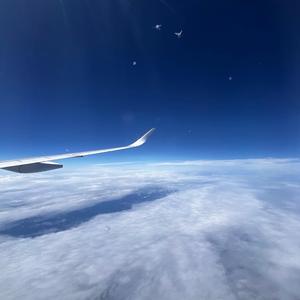 fly with angels