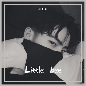 The great wall will never fall（万里长城永不倒）