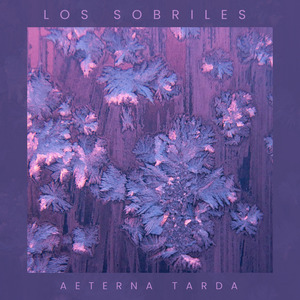 Aeterna Tarda