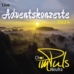 Weihnachtswiegenlied (Live)