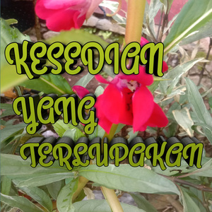 Kesedian Yang Terlupakan