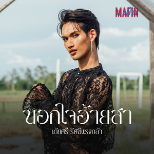 นอกใจอ้ายสา