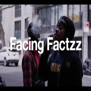 Facing Factzz