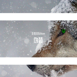 伪装