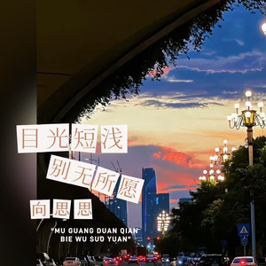 目光短浅别无所愿