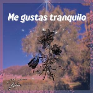 Me gustas tranquilo