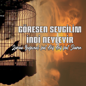 Göresen Sevgilim İndi Neyleyir