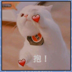 我唱情歌给你听