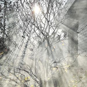 "Remember"Pop/Future bass beat Instrumental 2023