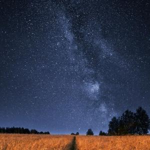 人海里相遇的人终究要还给人海