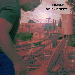 ציפורים צהובות