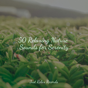 Phantasmic Lunar Prophecy