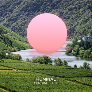 Fortune Flute (Extended Mix)