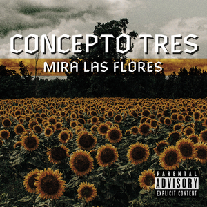 Misión Comprometida